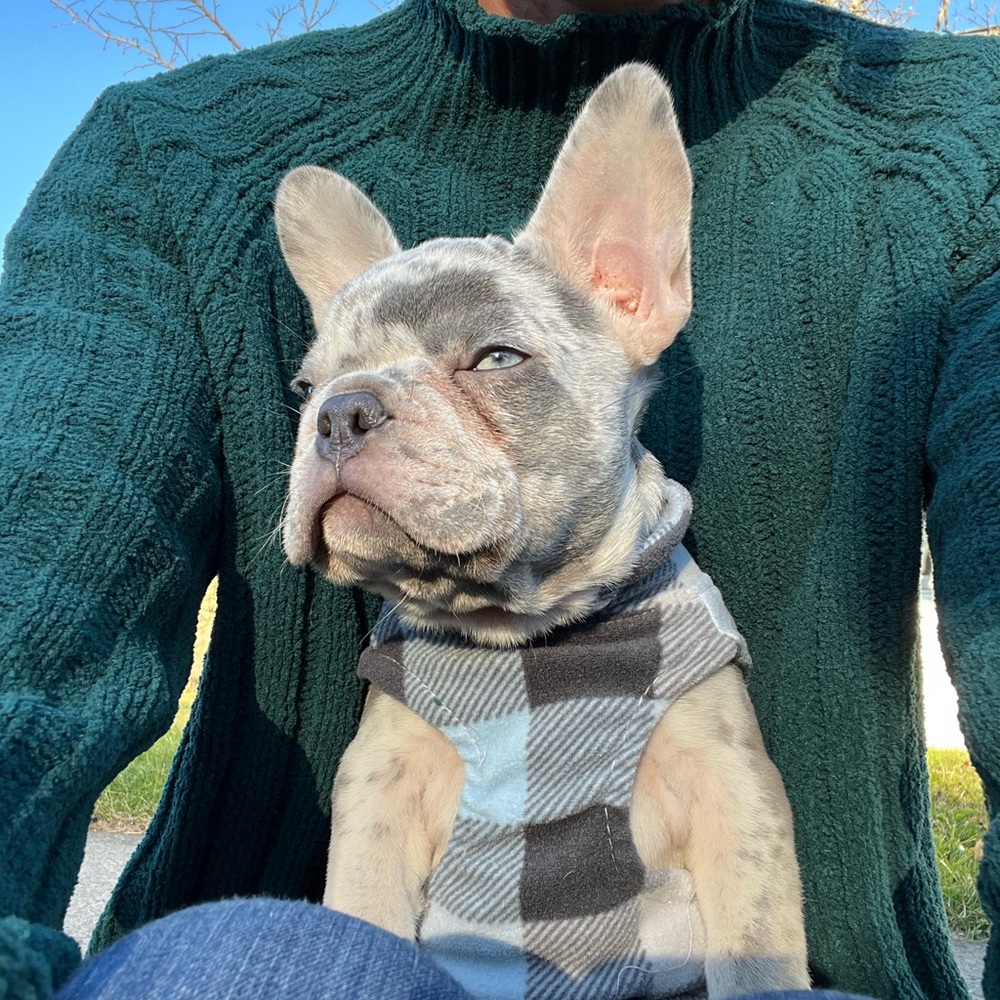 Lakefront Lux Live Show - Picture 13 of 14